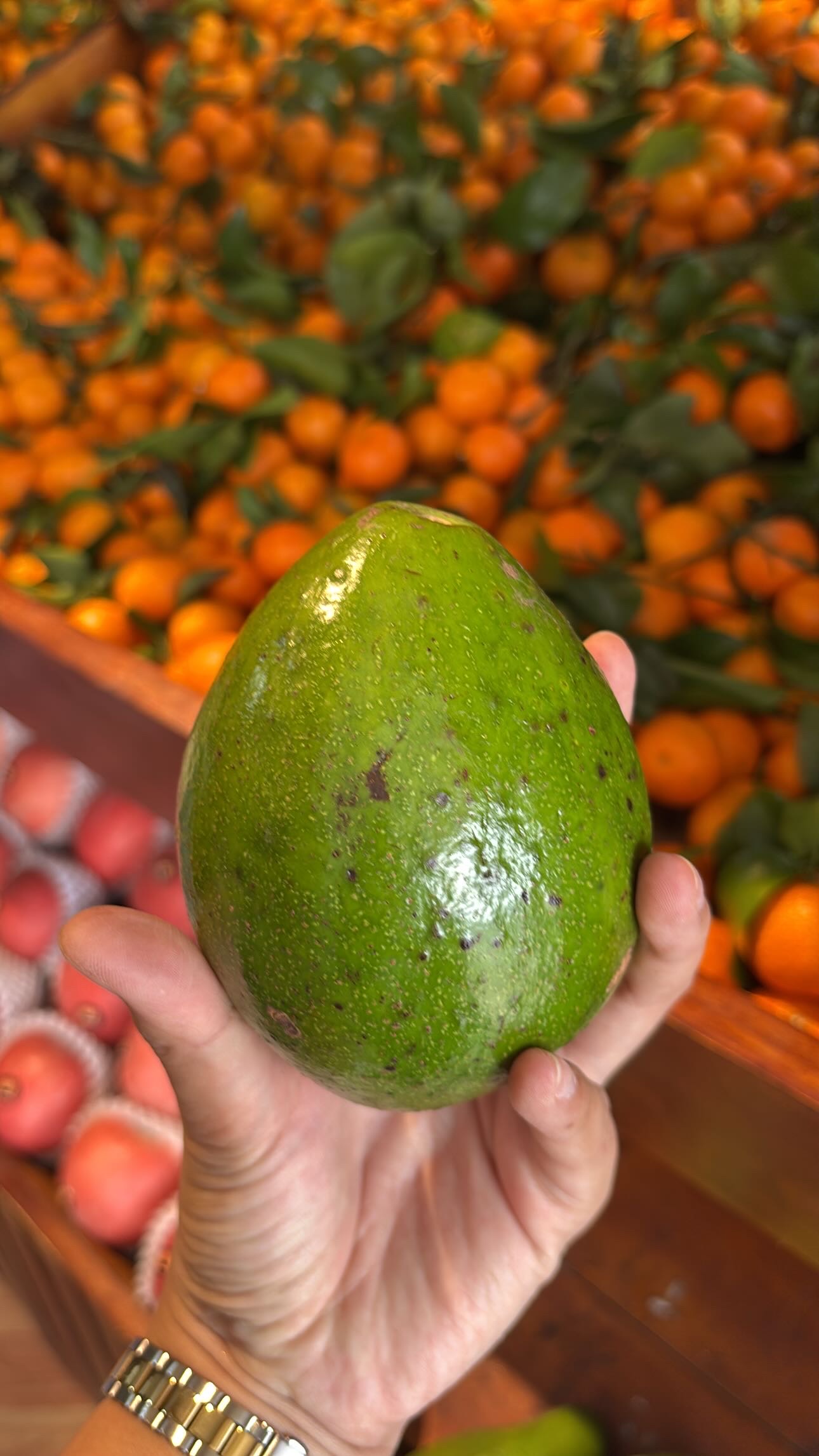 FUJI BIASA