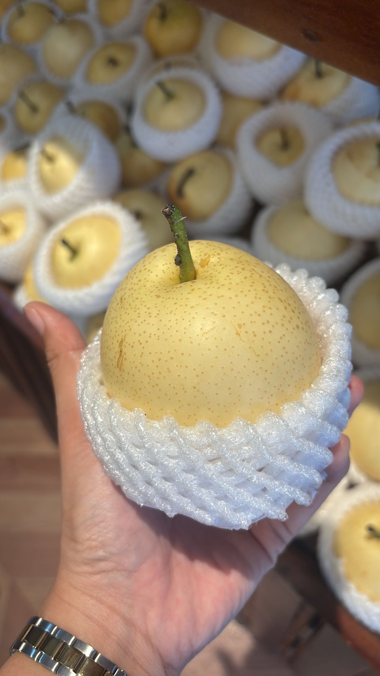 PEAR CENTURY