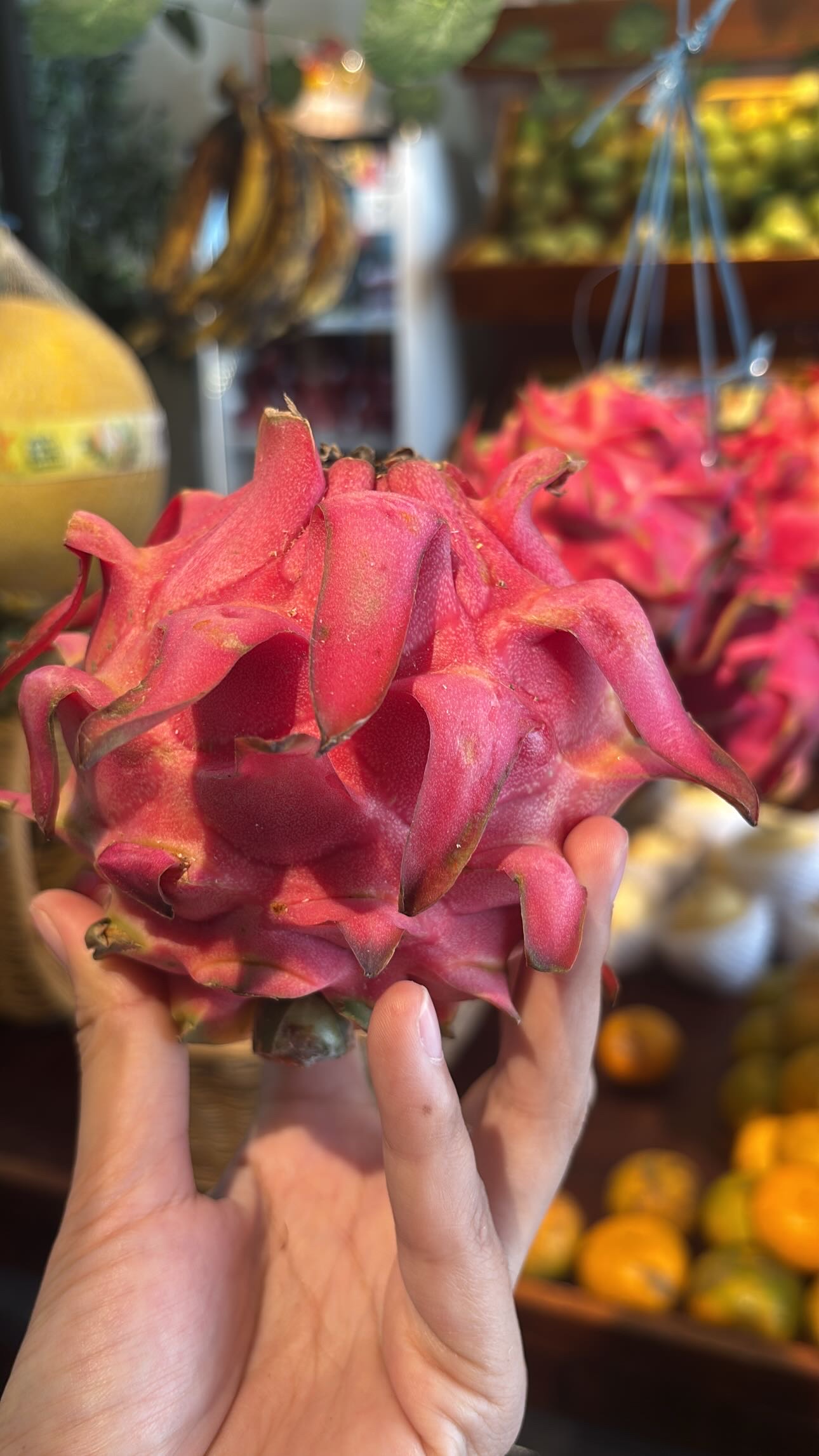 BUAH NAGA